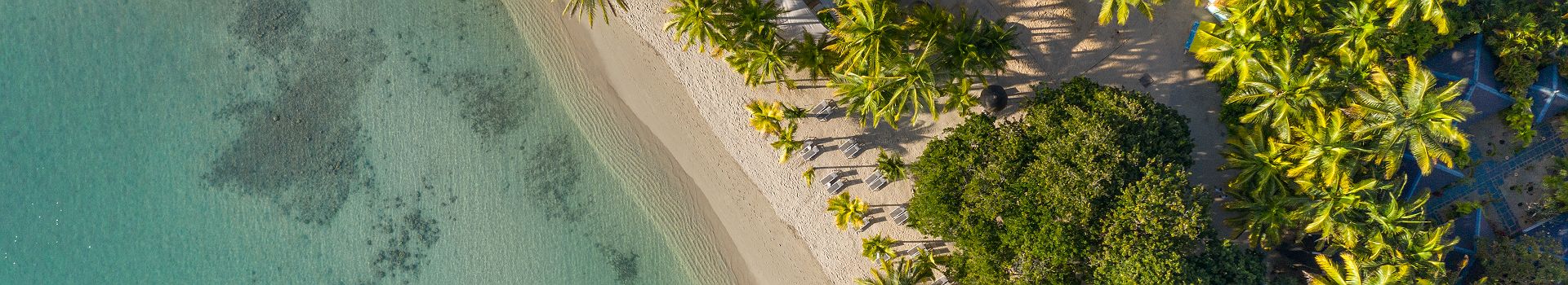 The Ravenala Attitude - Pano - île Maurice