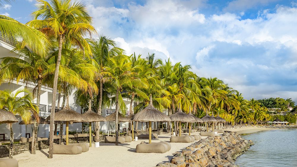 	
The Ravenala Attitude - Diapo - île Maurice