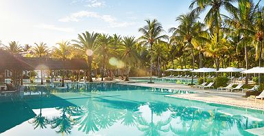 The Ravenala Attitude - Accroche - île Maurice