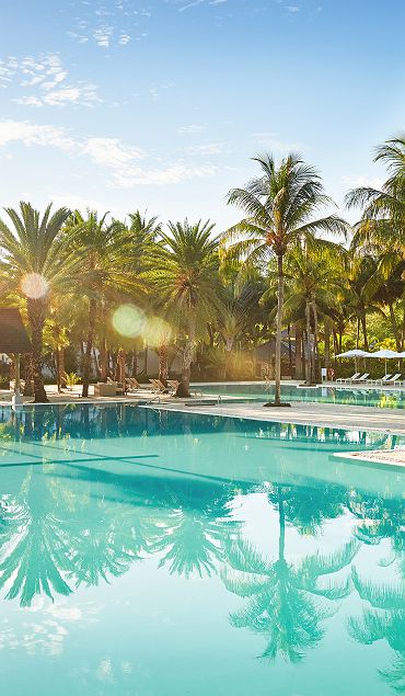 The Ravenala Attitude - Accroche - île Maurice