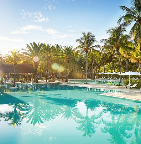 The Ravenala Attitude - Accroche - île Maurice