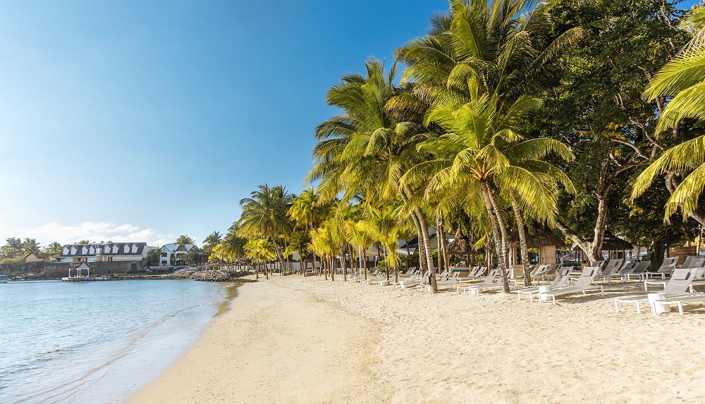 	
The Ravenala Attitude - Diapo - île Maurice