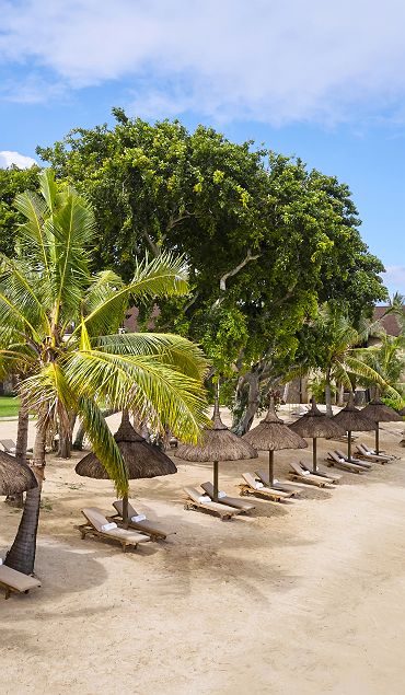 The Westin Turtle Bay Resort - Accroche - île Maurice