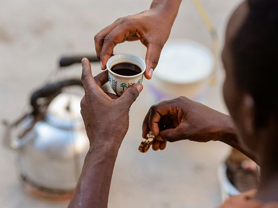 Expérience autour du café à Arusha