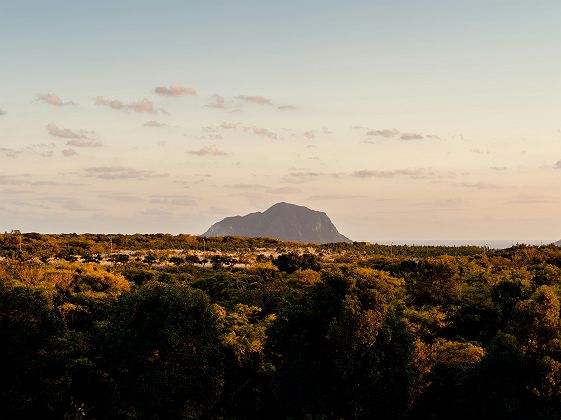 Ile de Jeju - Corée du Sud