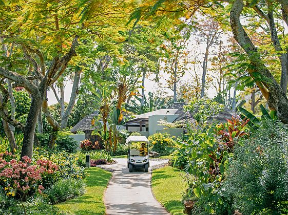 	
Four Seasons Resort Mauritius - Diapo - île Maurice