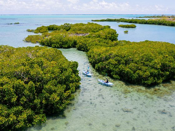 	
Four Seasons Resort Mauritius - Diapo - île Maurice