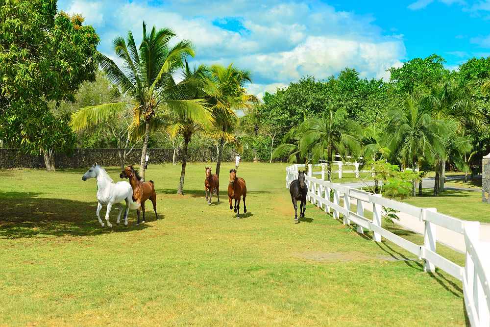 Maritim Resort & Spa - Diapo - île Maurice