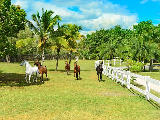 Maritim Resort & Spa - Diapo - île Maurice