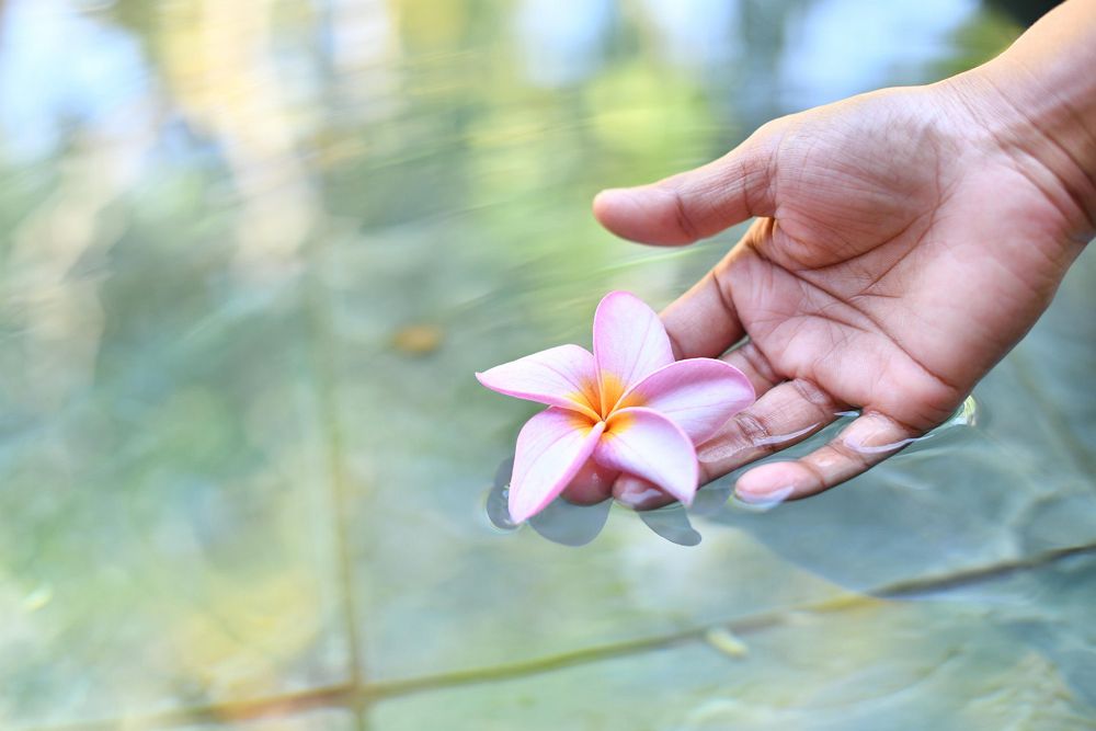 Shandrani Beachcomber - Diapo - île Maurice