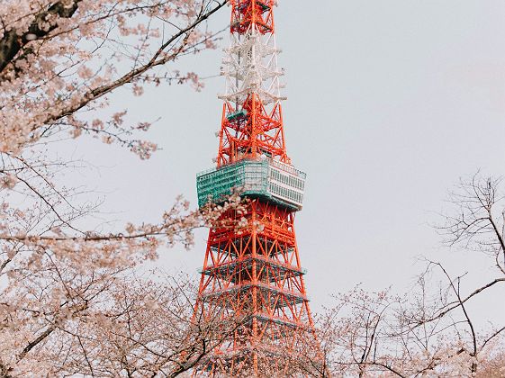 Tour de Tokyo - Japon