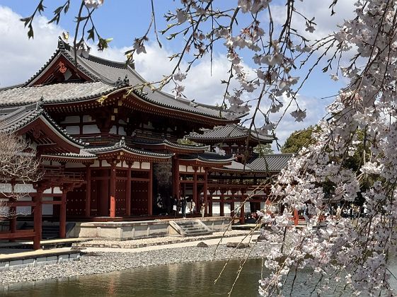 Byodo-in au printemps - Uji - Japon