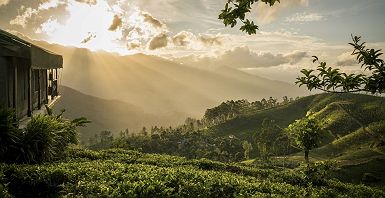 	
Madulkelle Tea & Eco Lodge - Kandy - Sri Lanka
