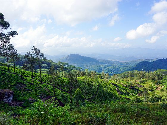 Knuckles Range - Sri Lanka 