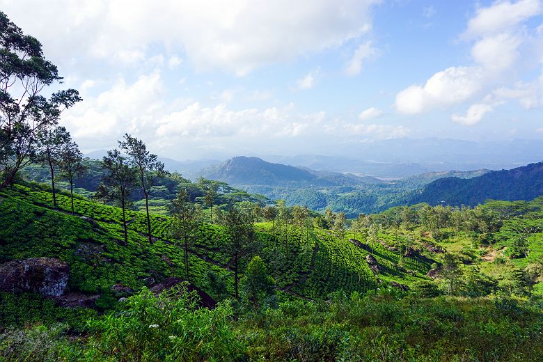 Knuckles Range - Sri Lanka 