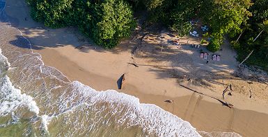 Aguas Claras - Hôtel - Costa Rica