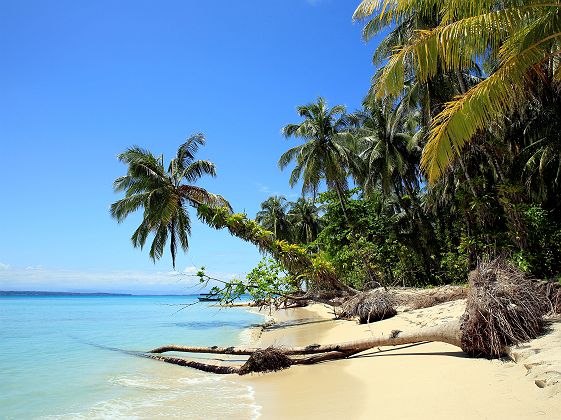 Nayara bocas del Toro - Hôtel - Panama