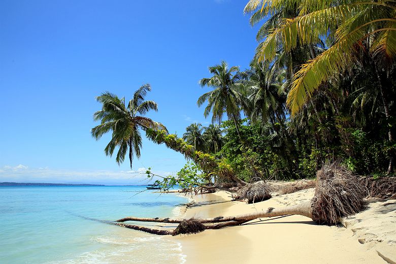 Nayara bocas del Toro - Hôtel - Panama