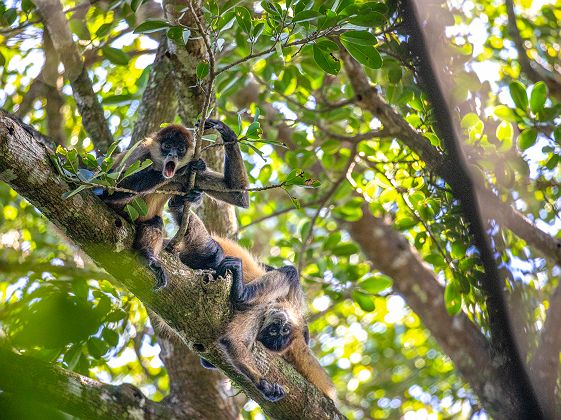 Parc National Rincon de la Vieja - Costa Rica