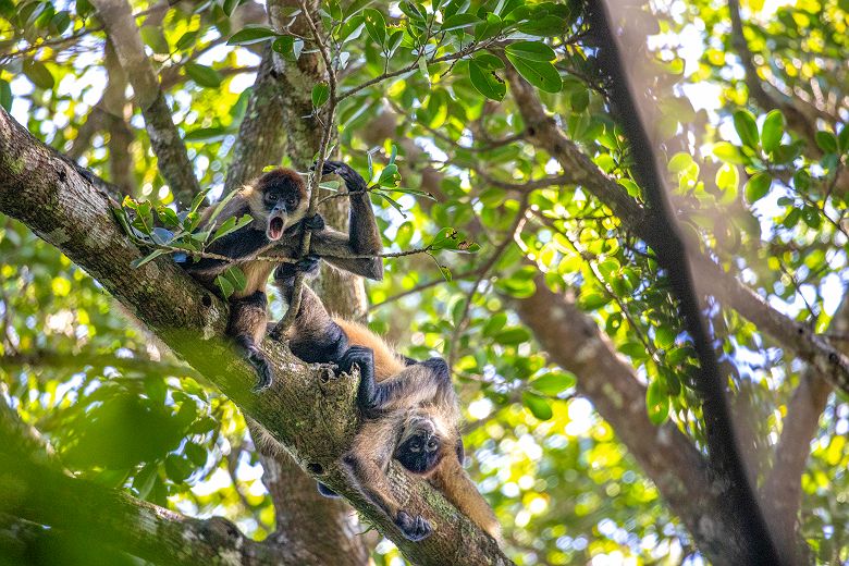 Parc National Rincon de la Vieja - Costa Rica