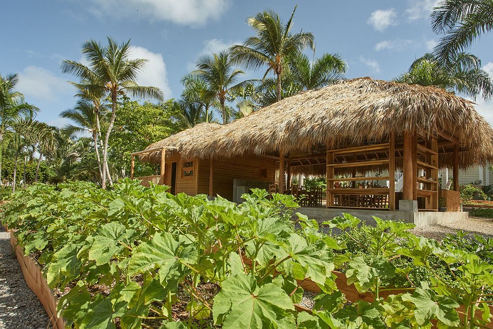 	
Cayo Levantado Resort - Diapo - île Maurice