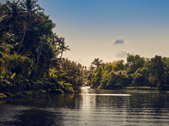 Backwaters (canaux) du Kerala - Inde