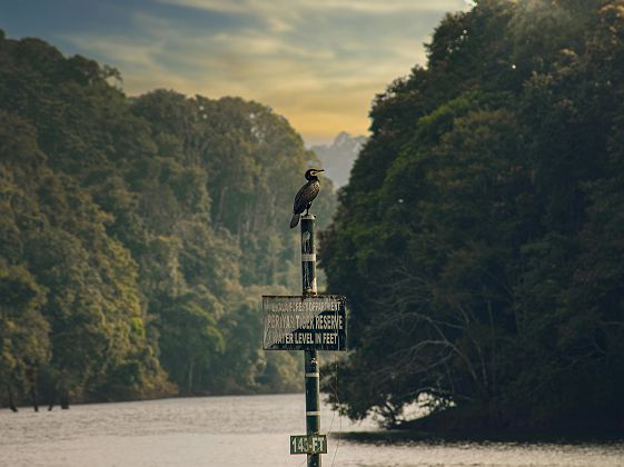 Parc national de Periyar - Kerala, Inde
