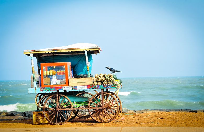 Chariot à fruits sur la plage - Inde