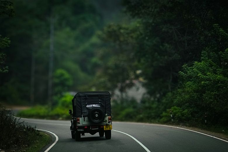 Parc national de Periyar - Kerala, Inde
