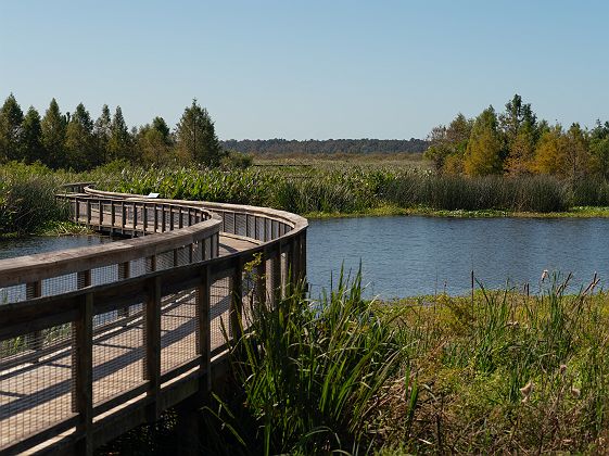 ©CycleHere gainesville sweetwater wetlands park
