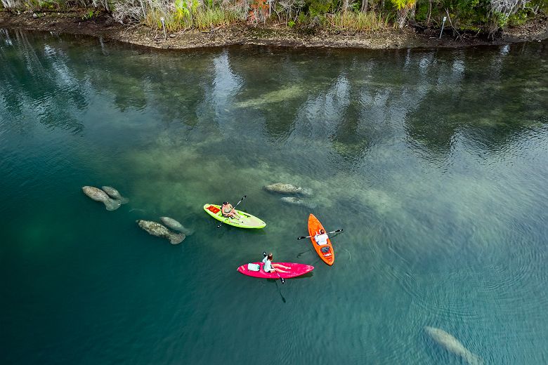 ©Roundhouse Creative crystal river three sisters springs kayaks lamantins