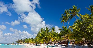Palmiers sur une plage tropicale de l'île de Saona, Mer des Caraïbes en République Dominicaine