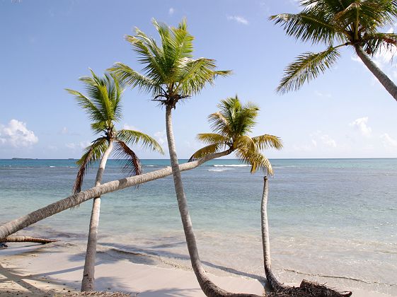 Las Terrenas- République Dominicaine