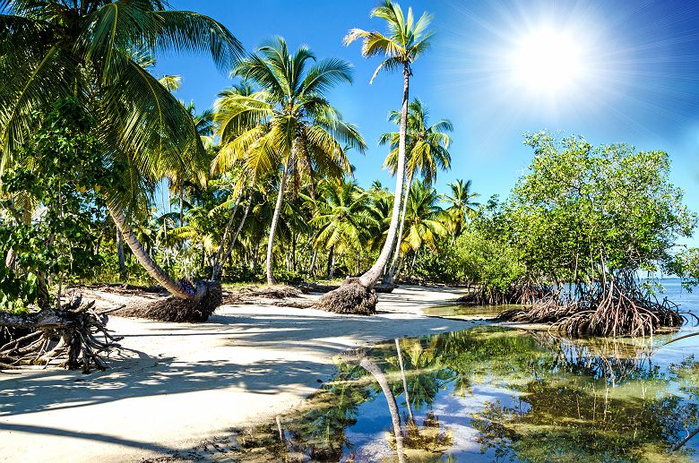 Plage sur la péninsule de Samana en République Dominicaine