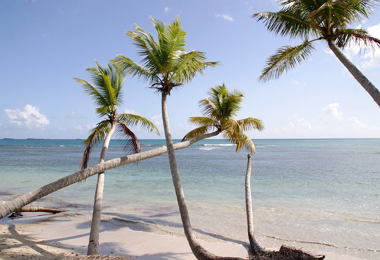 Las Terrenas- République Dominicaine