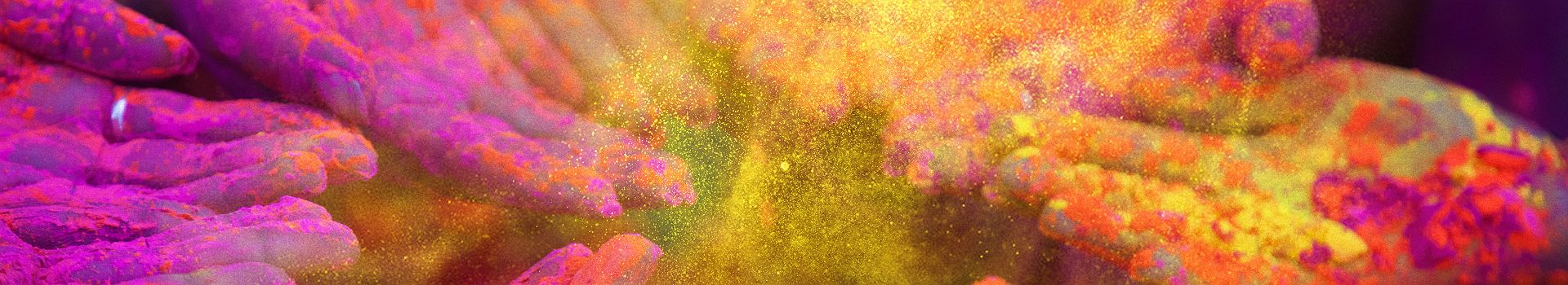 Festival d'Holi - Inde