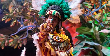 Carnaval Rio de Janeiro - Brésil