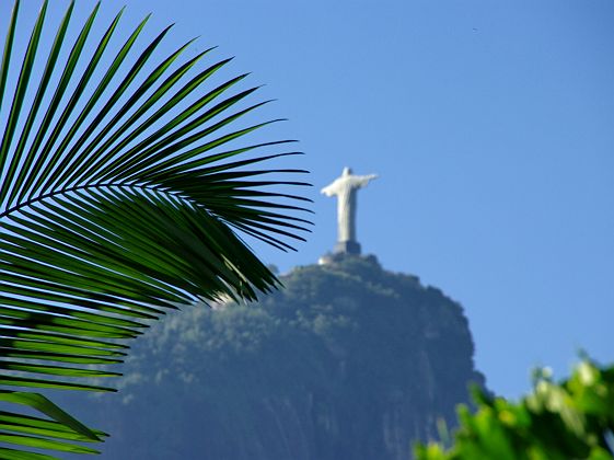 Palmier et Christ Rédempteur à Rio de Janeiro - Brésil