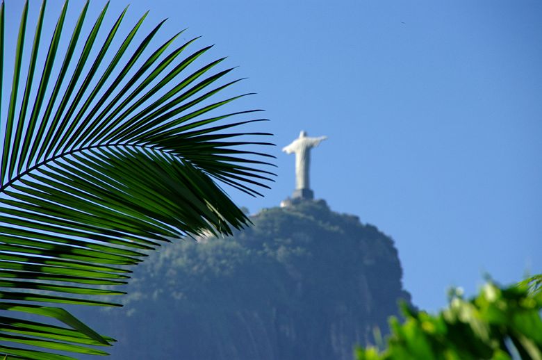 Palmier et Christ Rédempteur à Rio de Janeiro - Brésil
