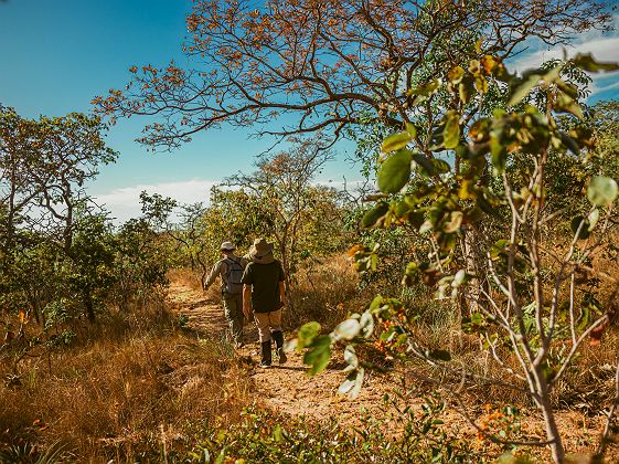 Pousada Trijunçao - Activités - Brésil