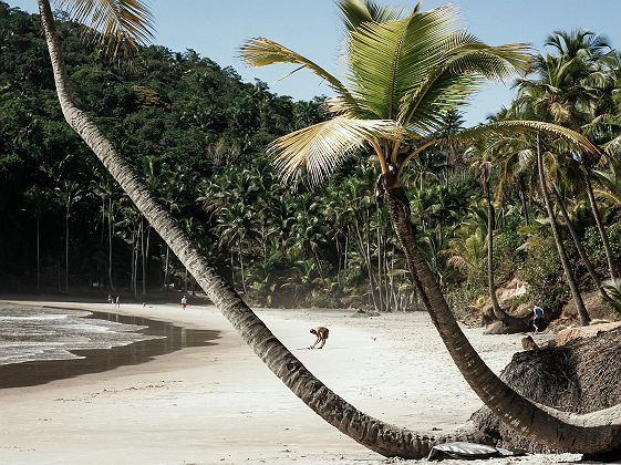 Photos hôtel - Barracuda Hotel & Villas - Itacaré