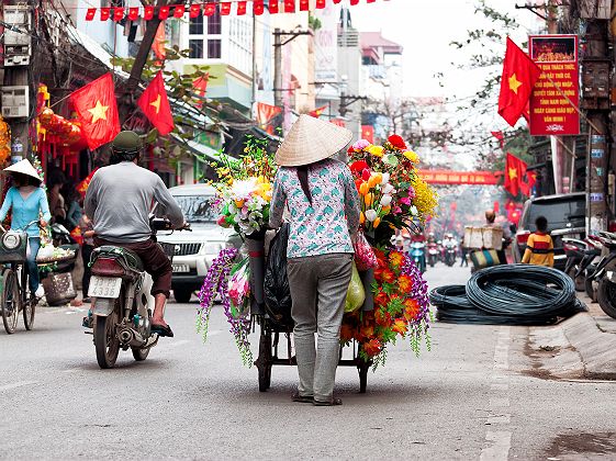 Vietnam - Commerçant ambulant de fleurs dans les rues d'Hanoi 