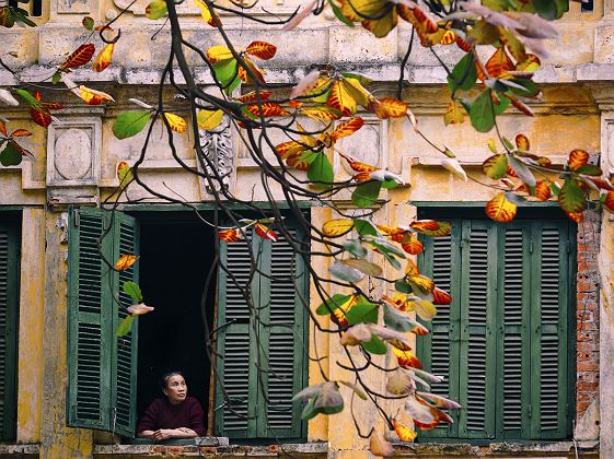 Fenêtres du vieux quartier d'Hanoi - Vietnam