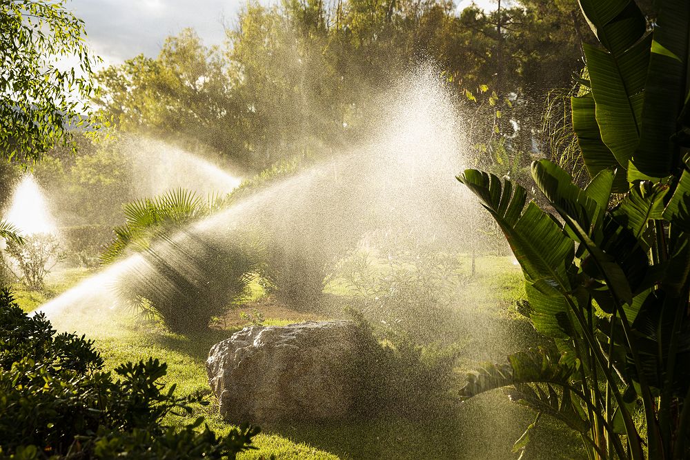 Domes Aulus Zante - Diapo - Grèce 