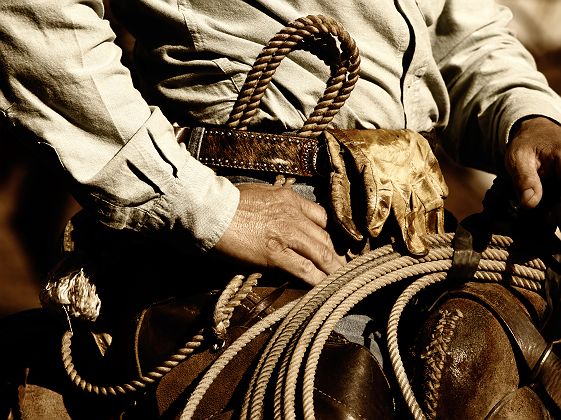 Cowboy au Texas, Etats Unis