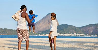 Rio de Janeiro (famille)