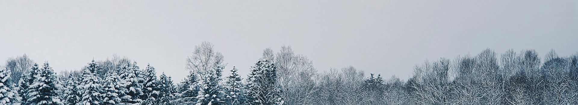 Hiver à Hokkaido - Japon