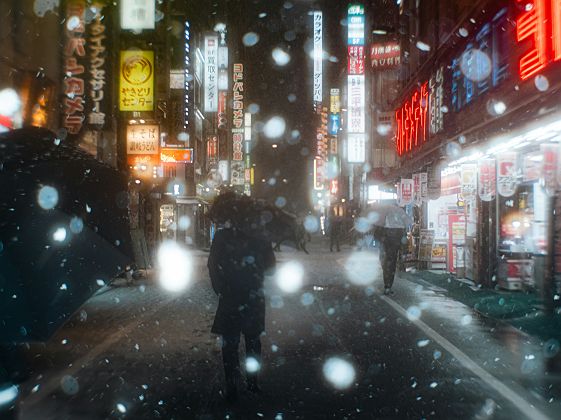 Tokyo en hiver - Japon