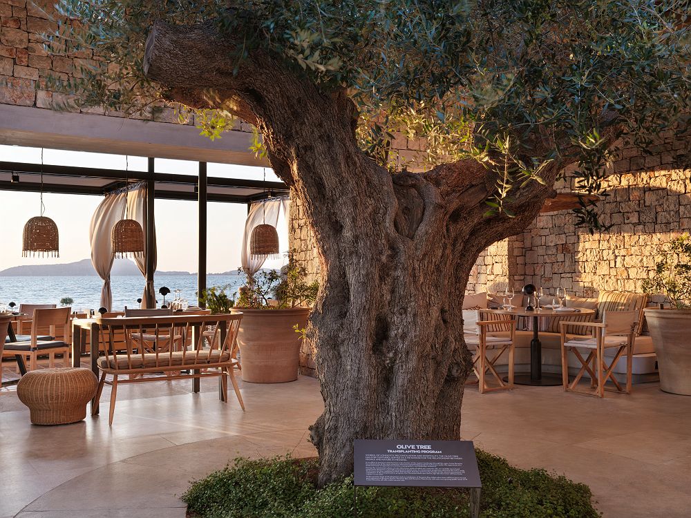 W Costa Navarino - Diapo - Grèce 