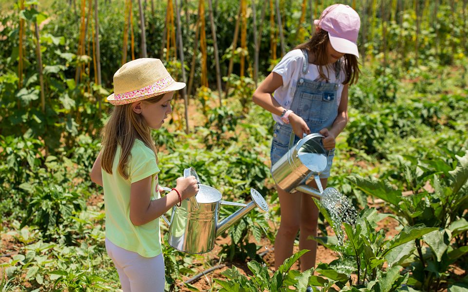 The Westin Resort Costa Navarino - Famille - Grèce